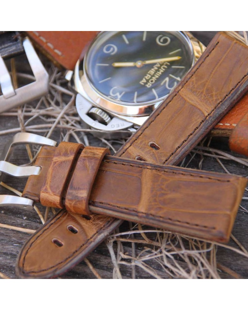 Arezzo DARKGATOR 24mm Alligator Honey
