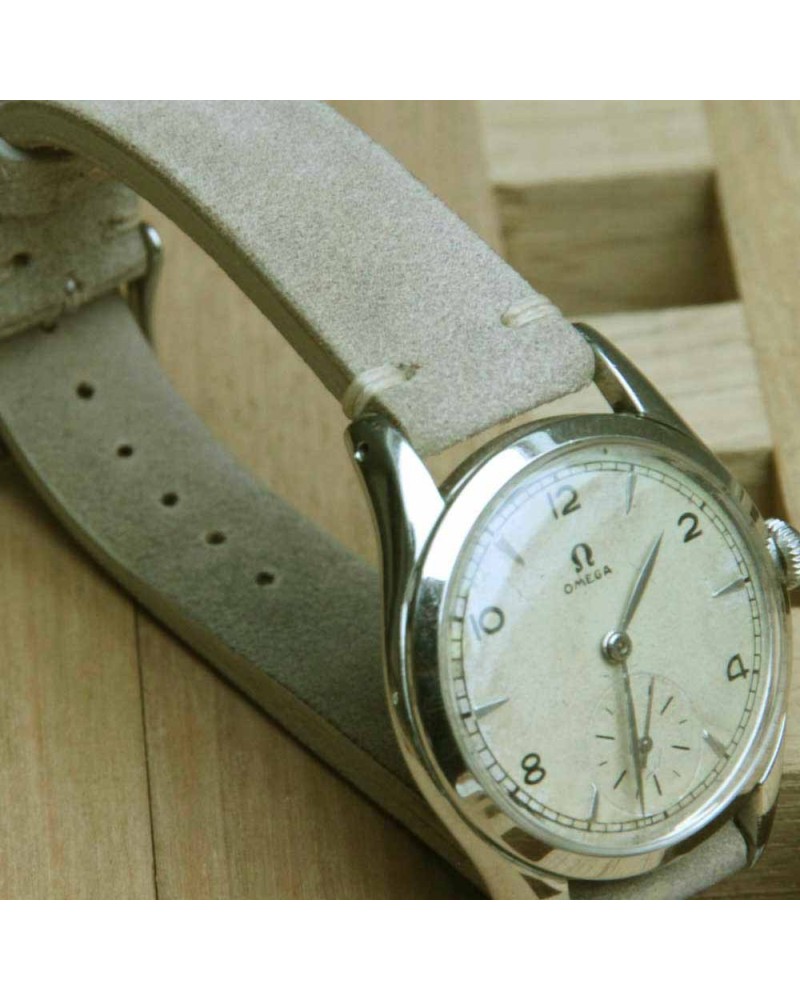 Arezzo HORSEMAN 18mm White
