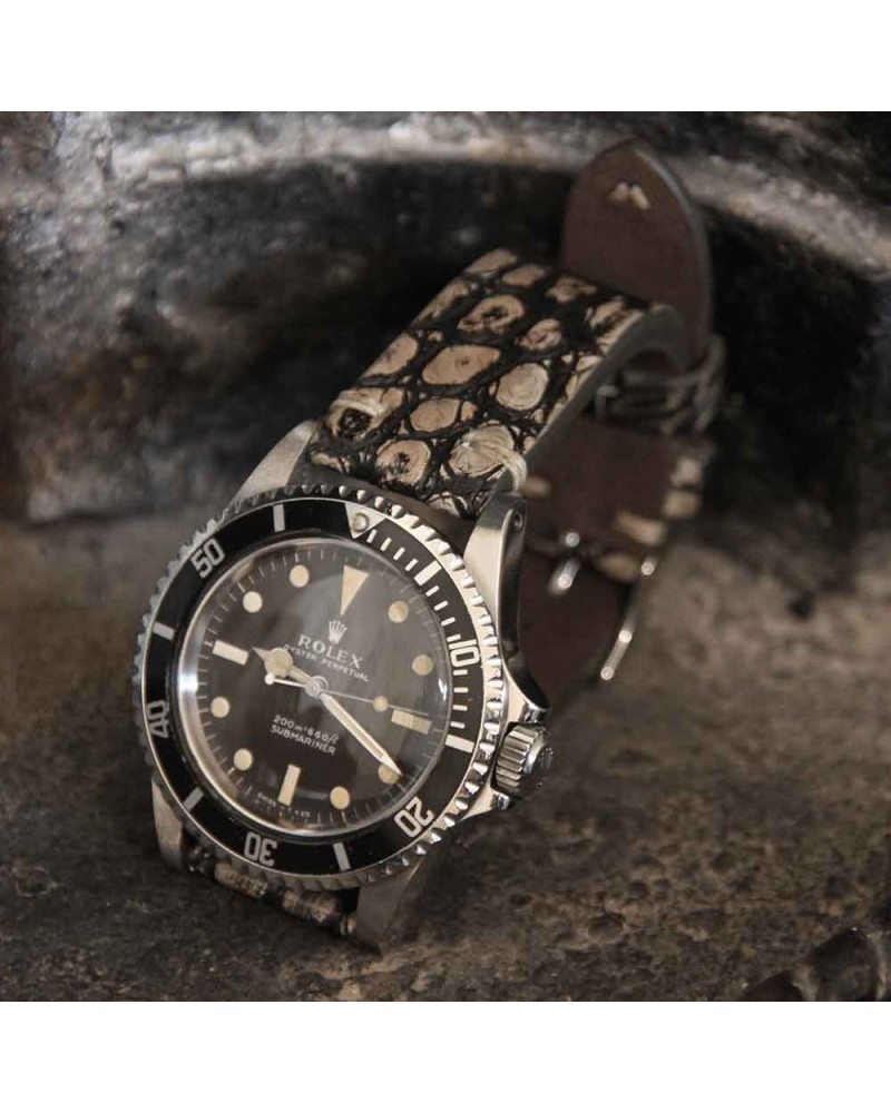 Arezzo DARKGATOR 20mm Alligator beige